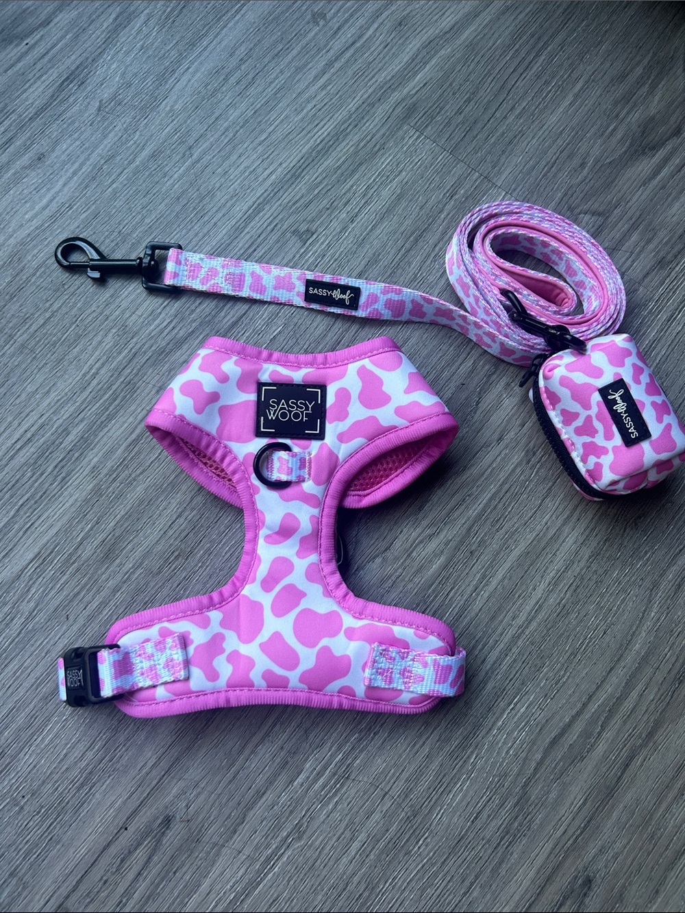 Sassy Woof Strawberry Milk Dog Walk Set • Adjustable Harness + Fabric Leash